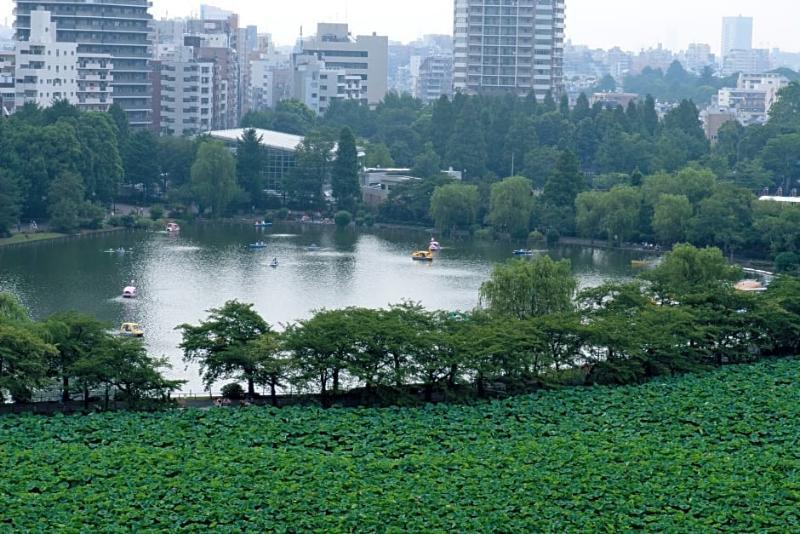 Hotel Coco Grand Ueno Shinobazu Токио Экстерьер фото